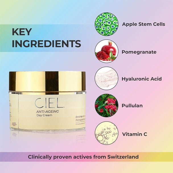 CIEL Anti-Ageing Day Cream Ingredients 