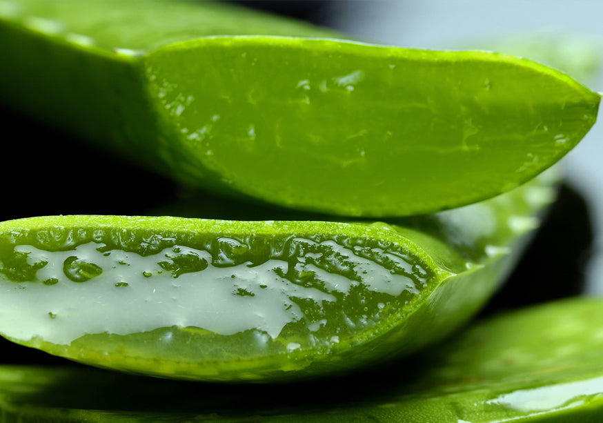 Aloe