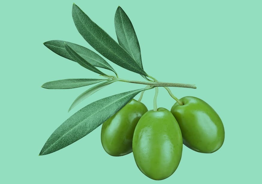 Olive Leaf Extract