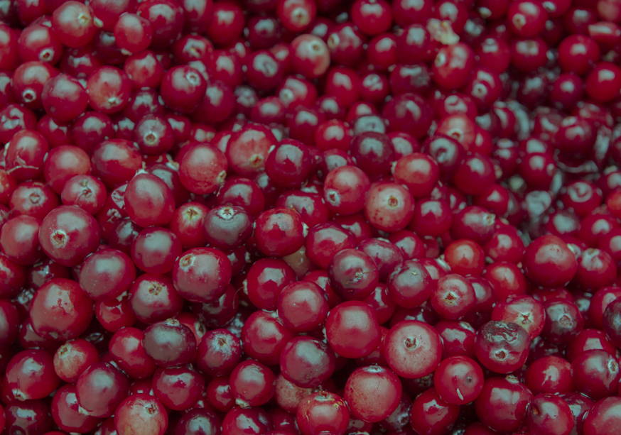 Cranberry Extract