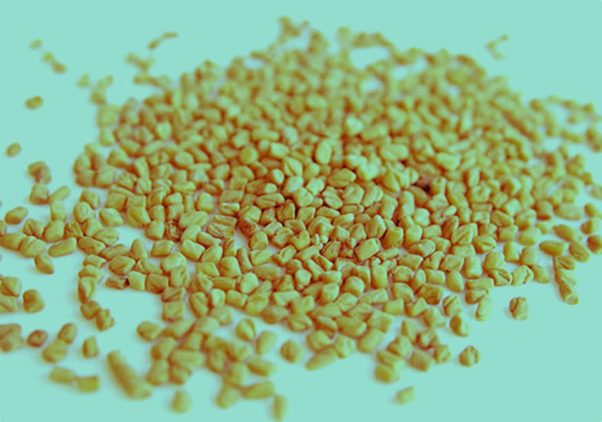 Fenugreek Extract