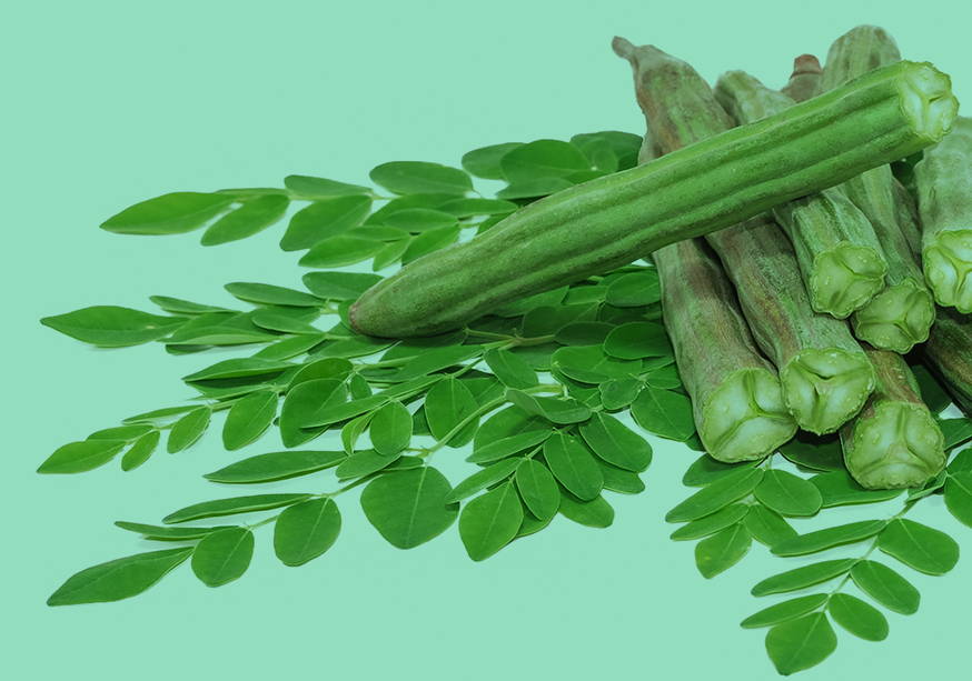 Moringa Extract