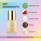 Anti Ageing Night Repair Serum ingredients 