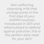 Anti Pollution Cleanser 